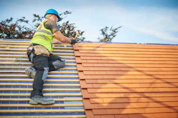 Best Sheet Metal Roofing  in Edgerton, OH